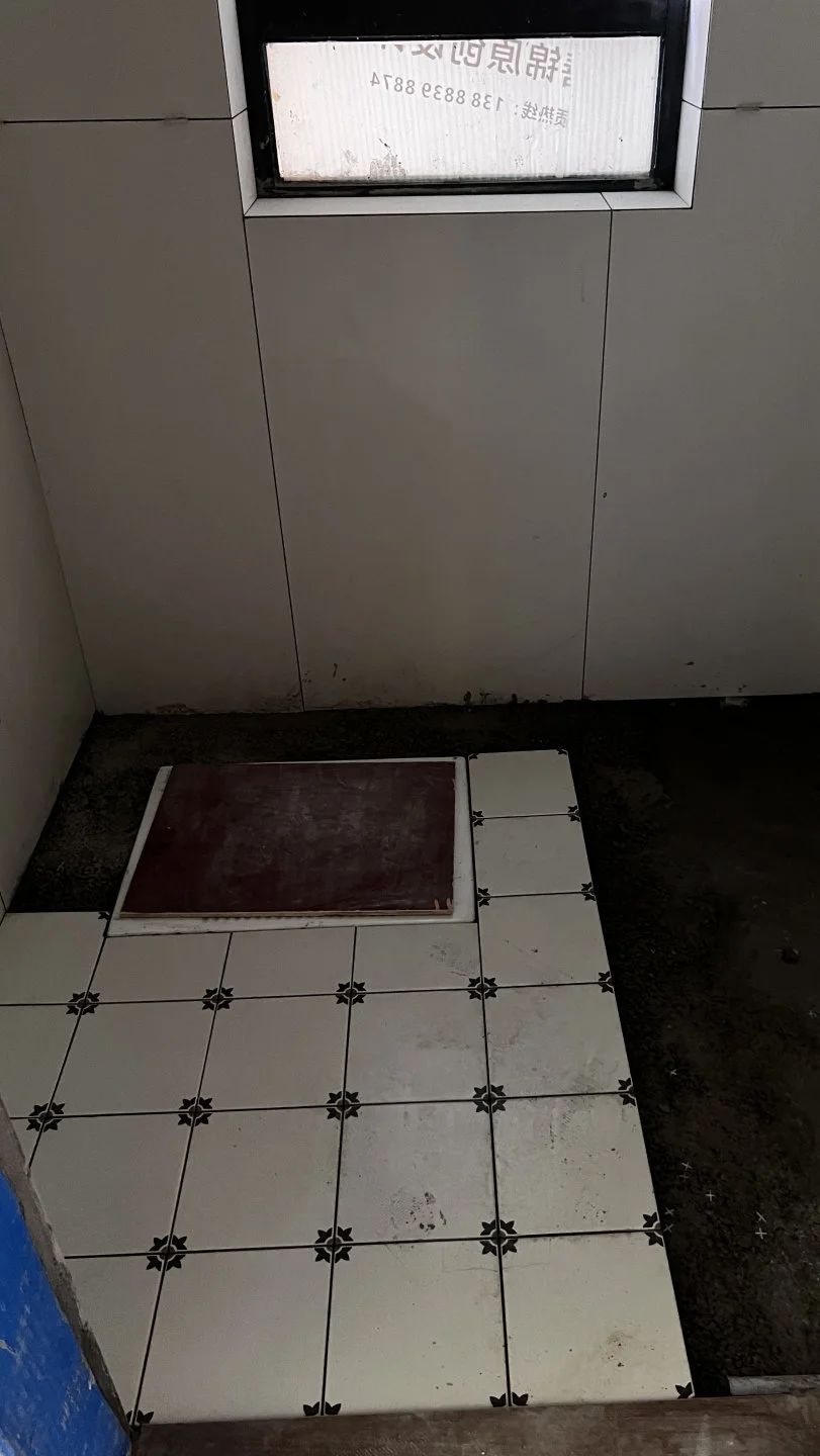 1736307081898254.jpg